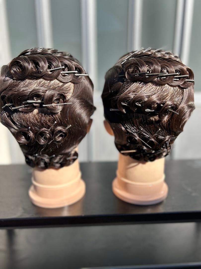 国試仕込み済みAWウィッグ2個と カットウィッグ5個セット