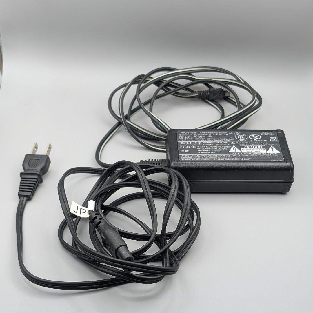 SONY ハンディカム DCR-SR60 30GB Carl Zeiss 動確済