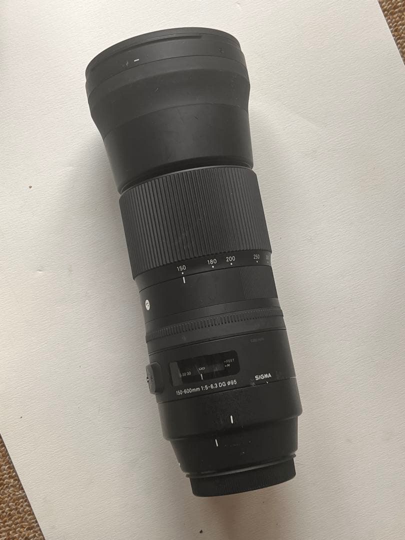SIGMA 150-600mm f/5-6.3 DG ズームレンズ