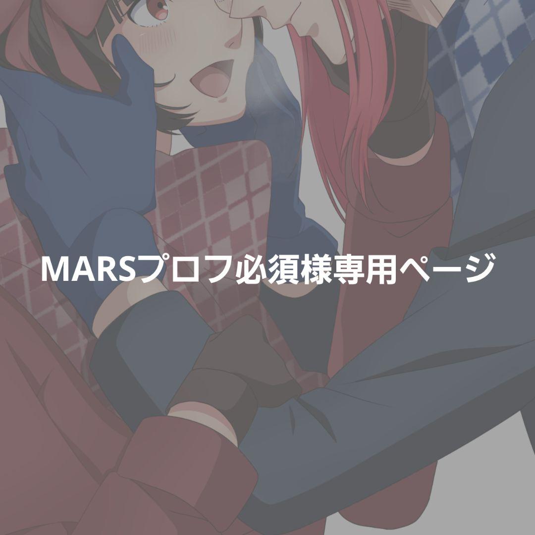 MARSプロフ必須ページ