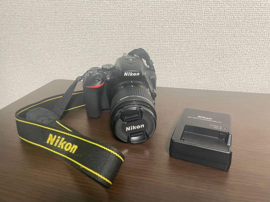 Nikon デジタル一眼レフカメラ AF-P DX 18-55mm