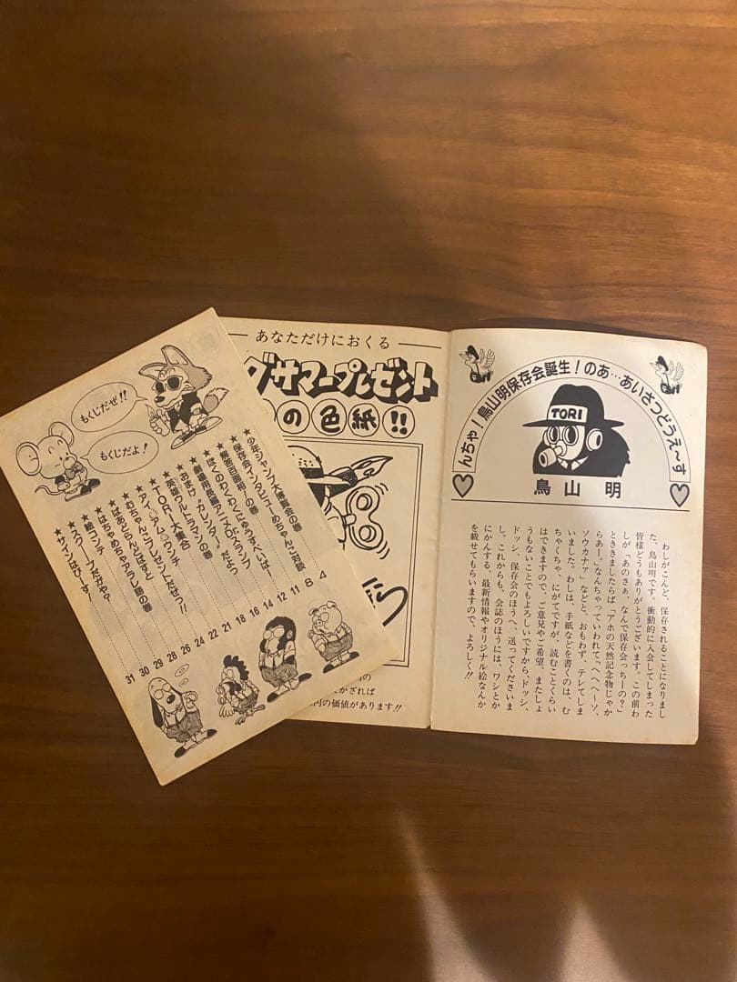 BIRD LAND PRESS 1982 創刊号