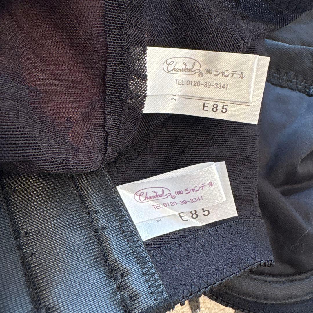 シャンデール、黒 レース ボディスーツ フルカップ・ブラジャーセット