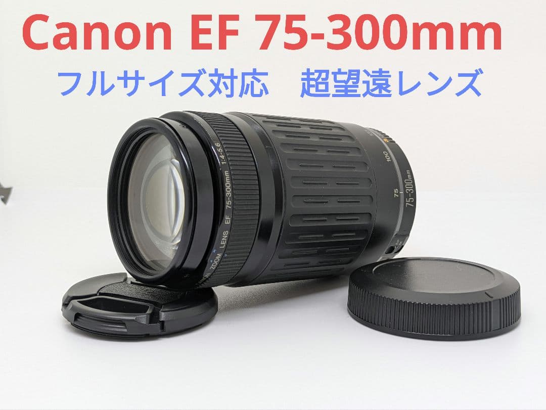 1月23日限定販売♪【超望遠レンズ】Canon EF 75-300mm