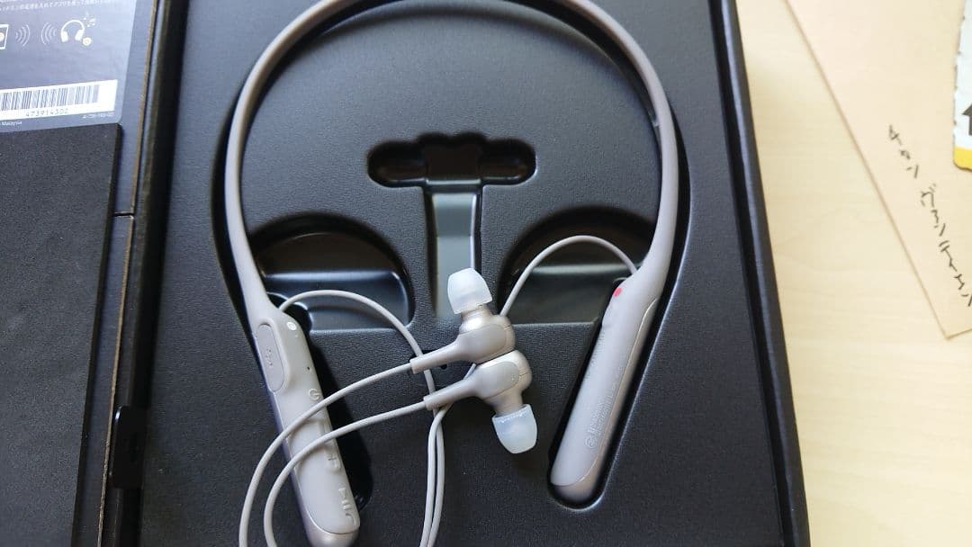 イヤホン Sony Wi-C600N