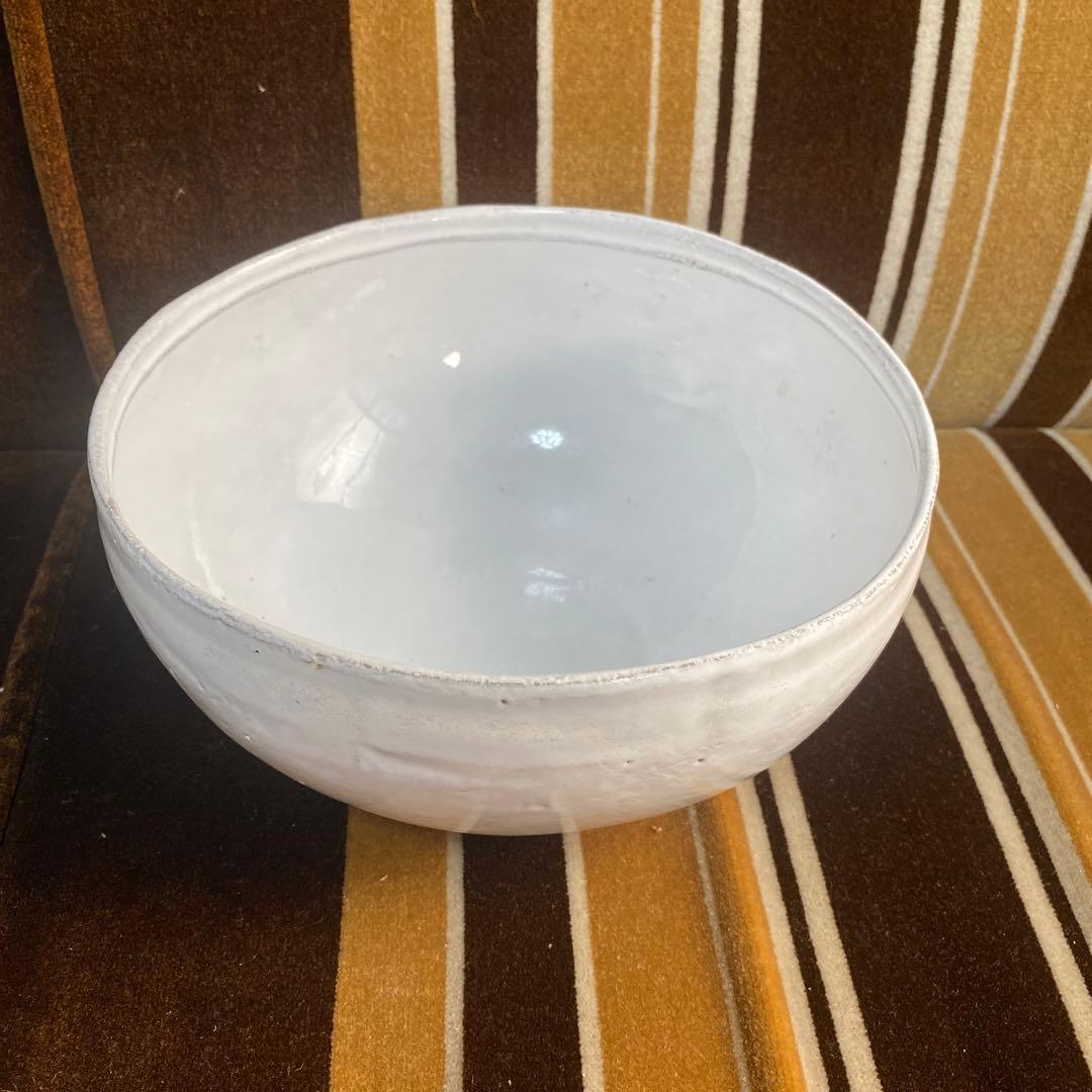 アスティエ・ド・ヴィラット　お皿　丼皿　大皿