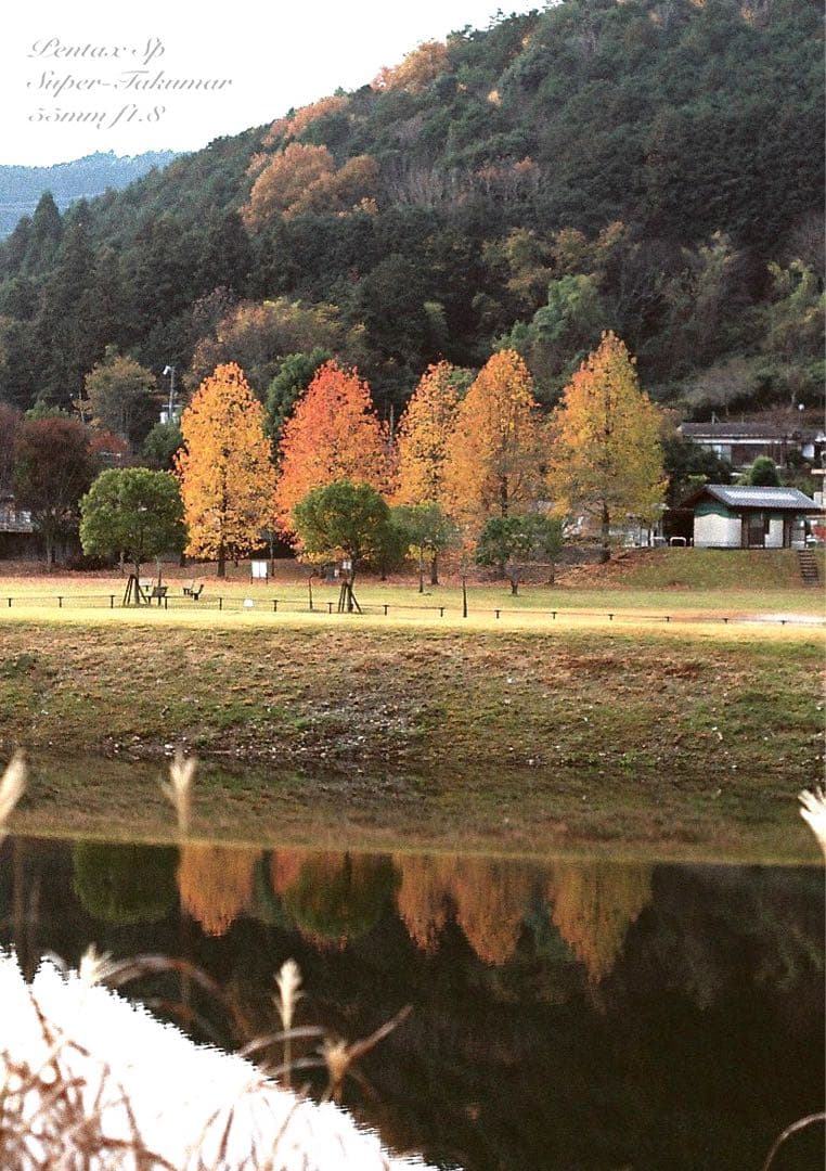 pentax sp フルセット★完動品＊美品＊初期保証付！★作例多数