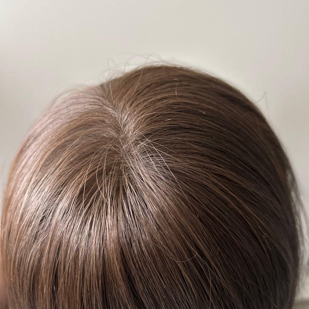 ピンクエイジ　手植えフルウィッグ　グラデーションチョコブラウン