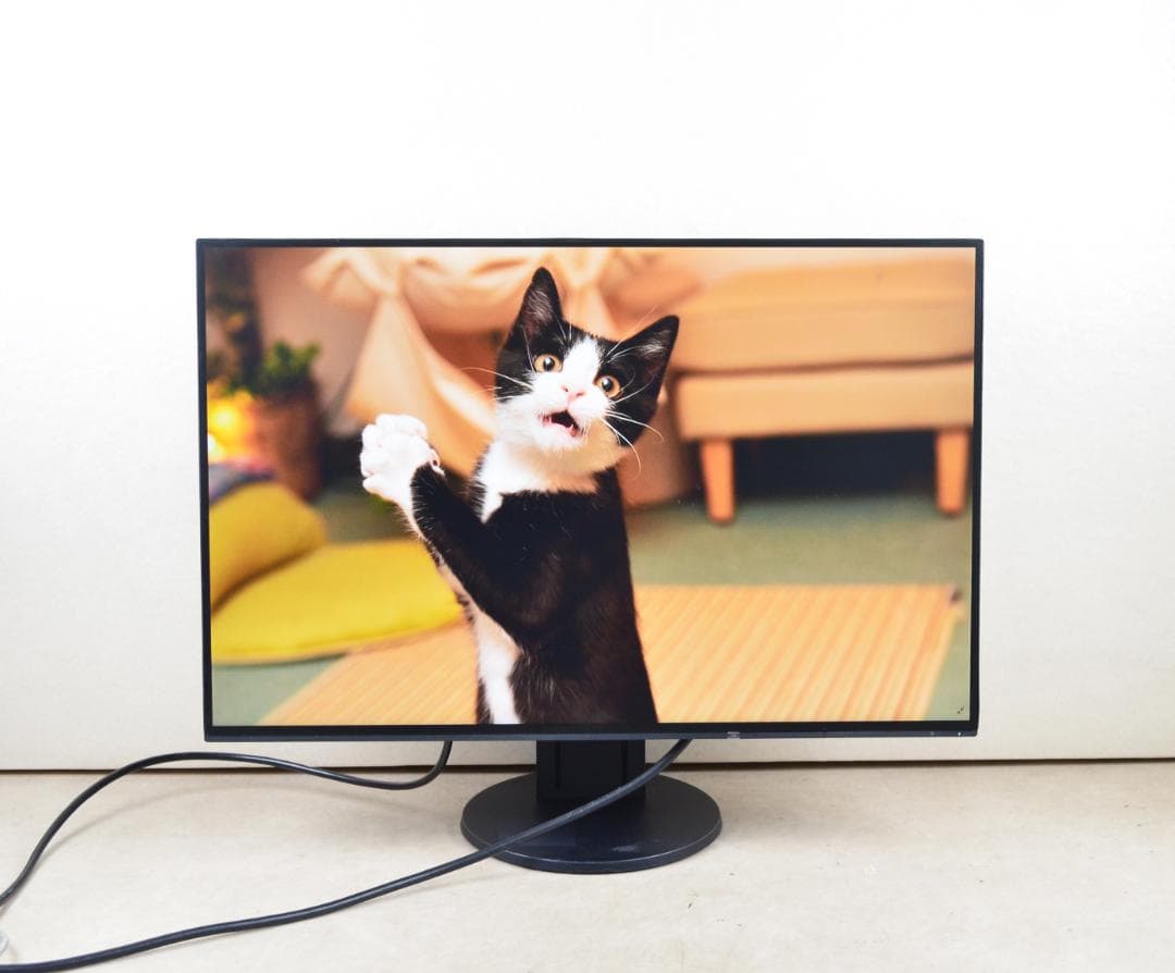 2台　超狭額　EIZO　EV2456　24型　WUXGA　HDMI　IPS