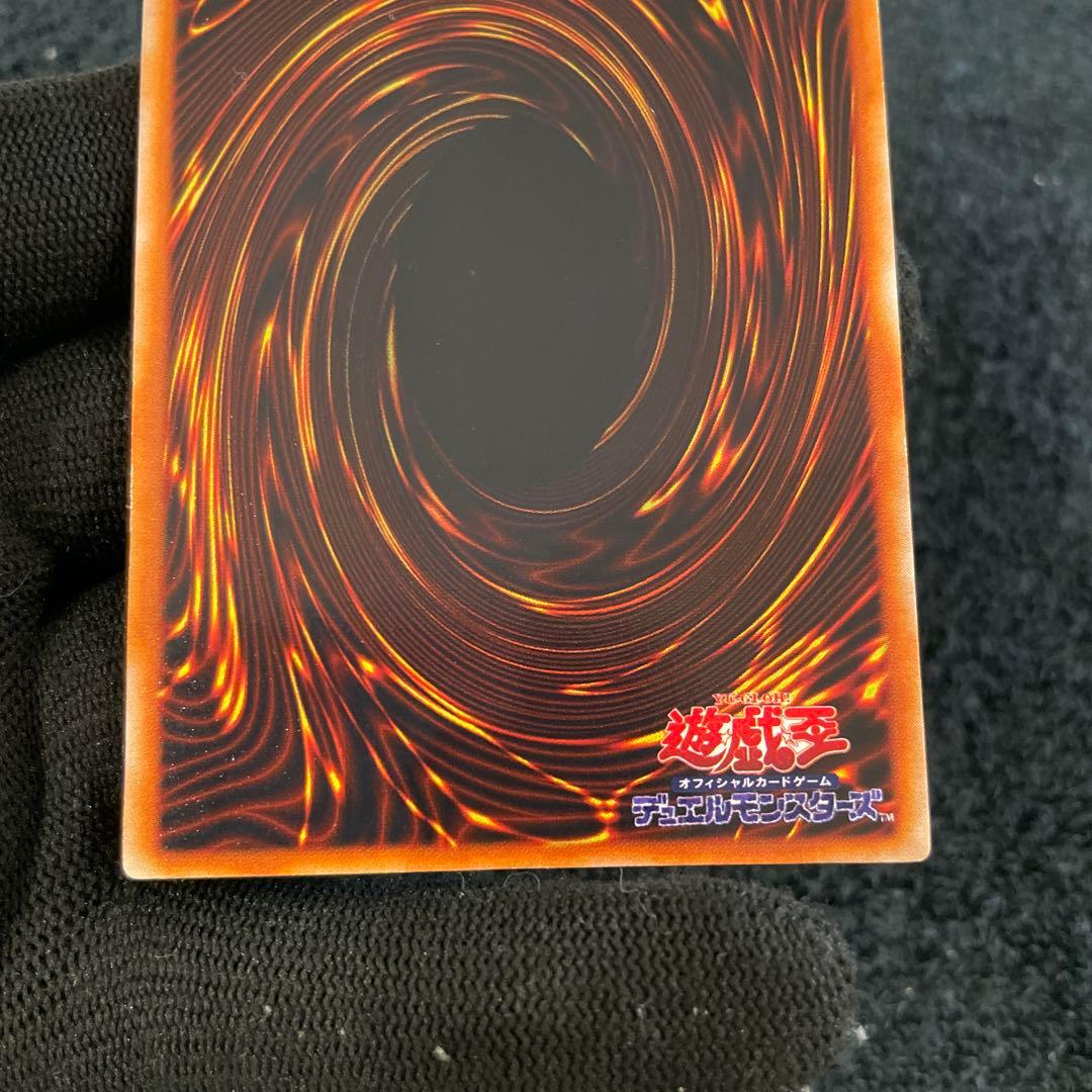 【美品】　ゲート・ガーディアン　とても綺麗