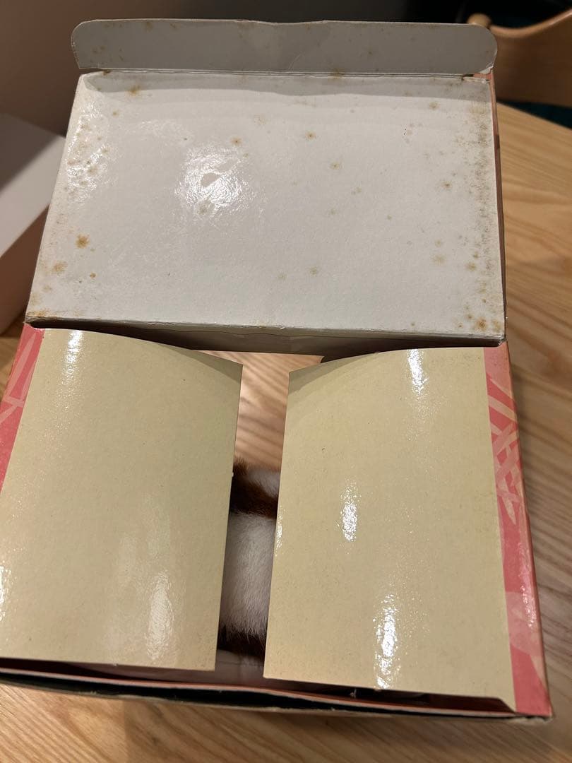 グレムリン2 ギズモコレクションドール　アロハ　2400体限定