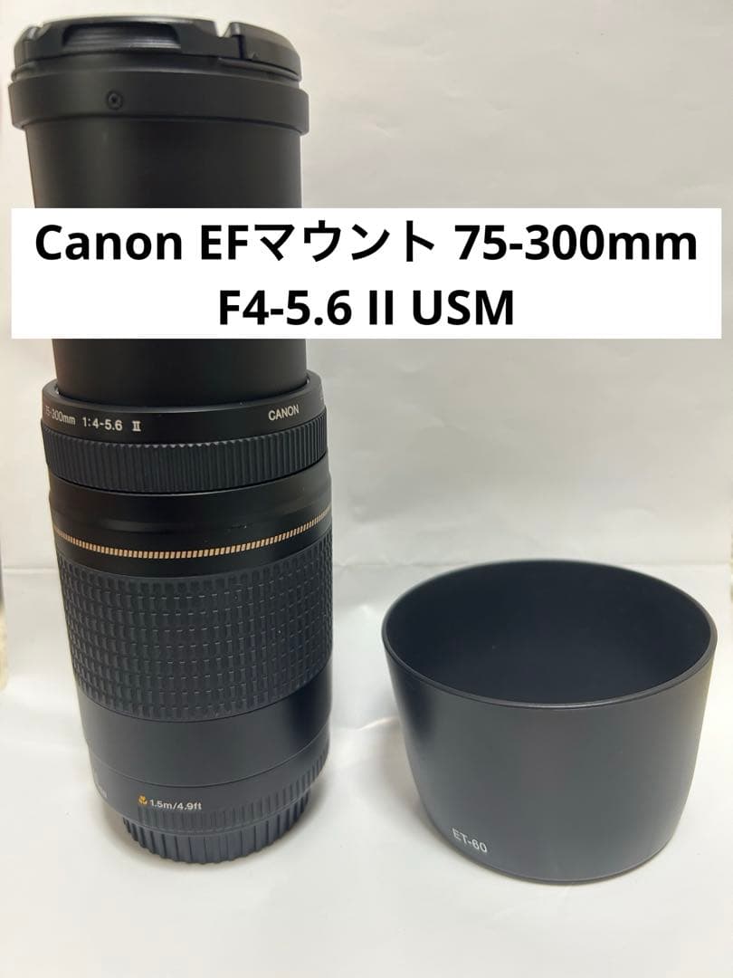人気の望遠レンズ　フード付き　キヤノン Canon EF75-300㎜