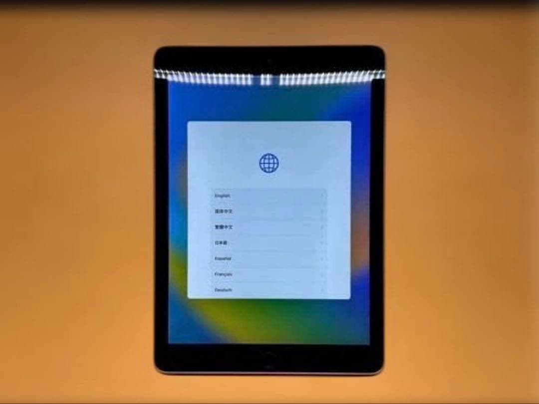 iPad Pro 9.7 128GB Wi‑Fi+Cellular 動作良好