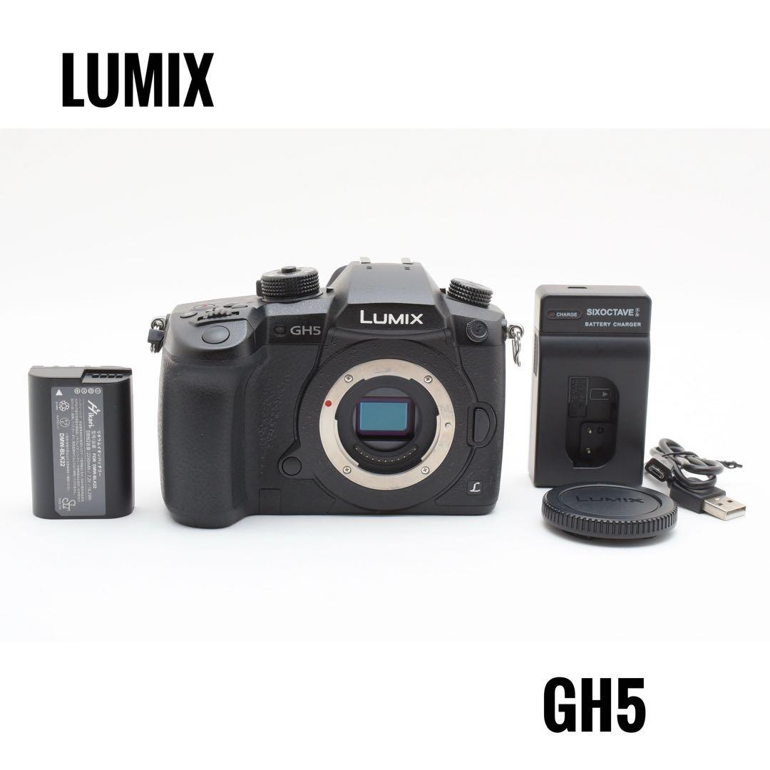 【美品】ルミックス LUMIX GH5 ミラーレス一眼カメラ