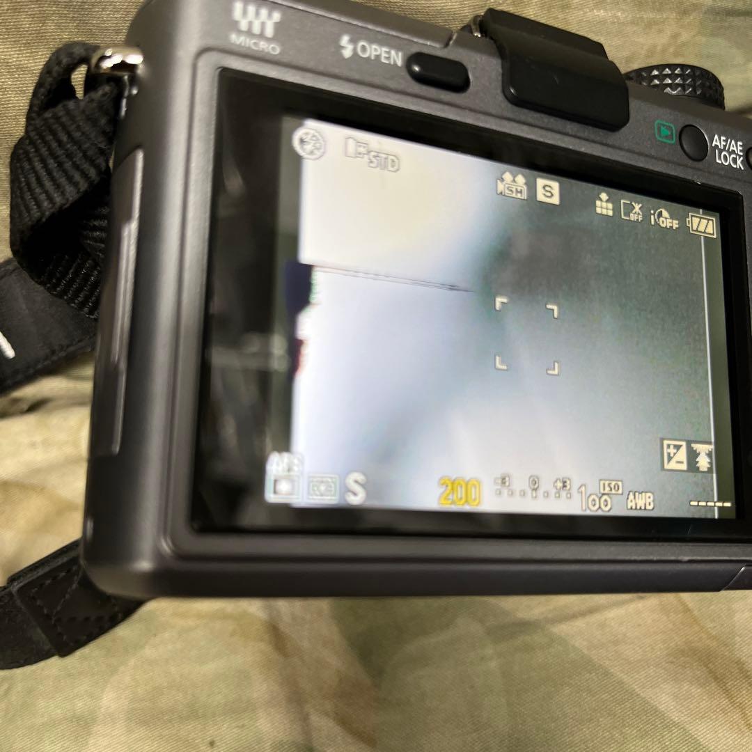 Panasonic LUMIX DMC-GF1【ブレードシルバー】