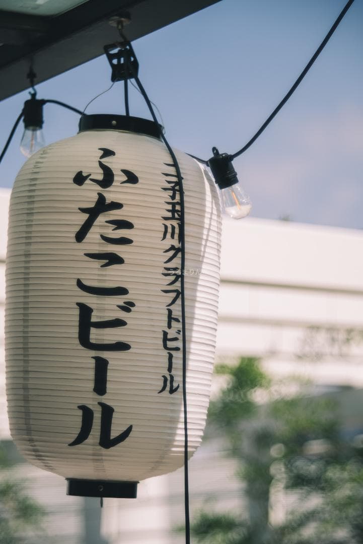 格安！バブルボケ！Meyer TRIOPLAN 100mm F2.8 ゼブラ