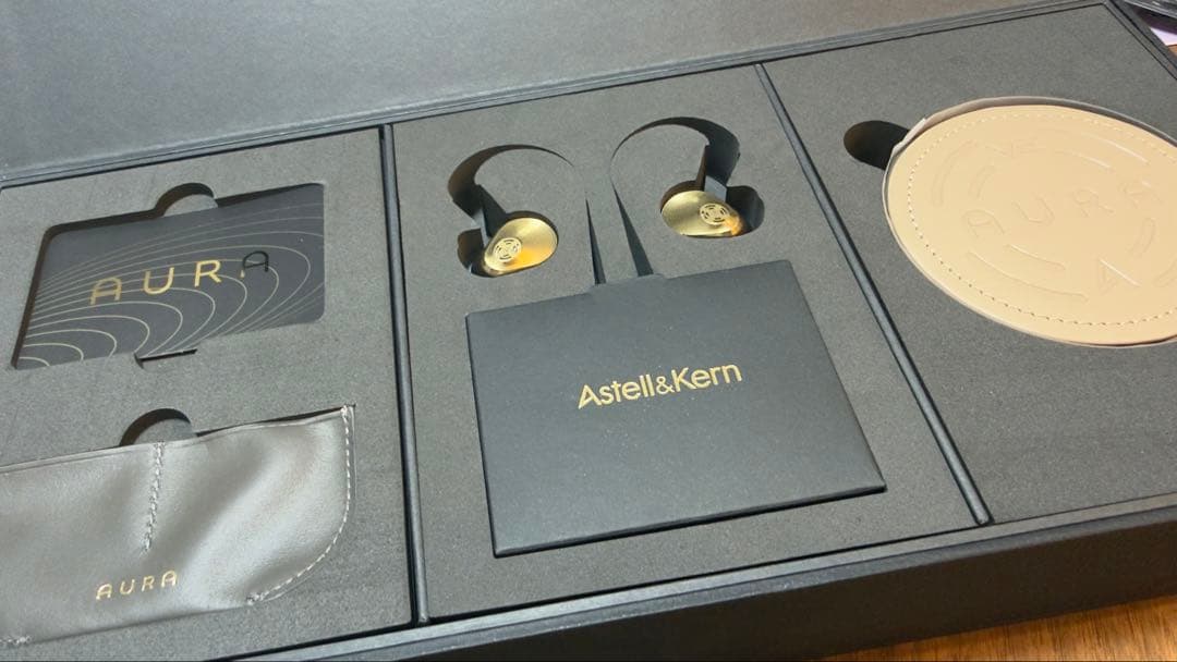 イヤホン Astell&Kern Vision Ears Aura