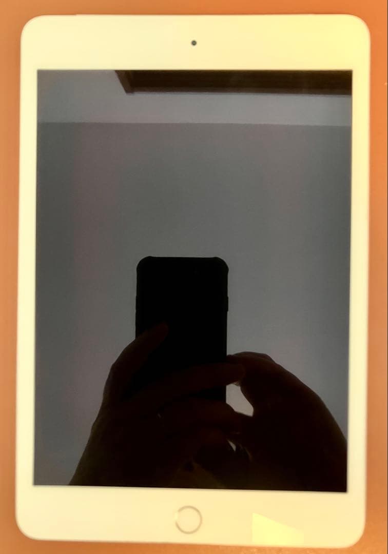 Apple iPad mini 4 本体