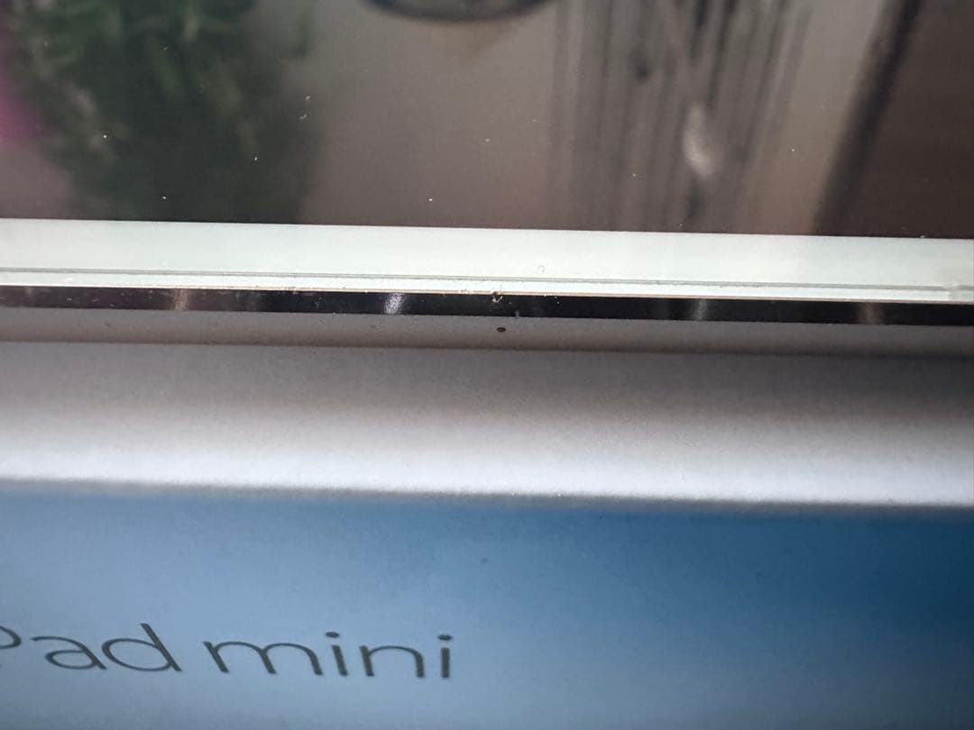 【付属品未使用 美品】iPad mini 4 Wi-Fi 64GB ゴールド