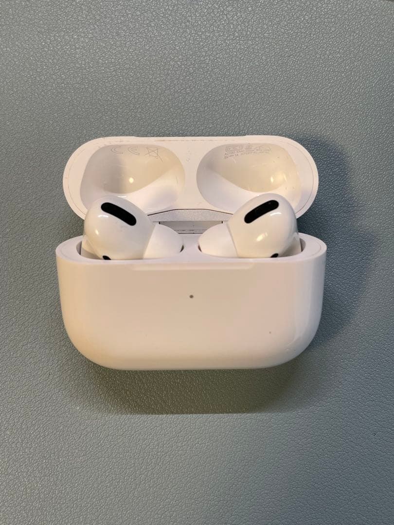 【koko様用】Apple AirPods Pro 1 本体