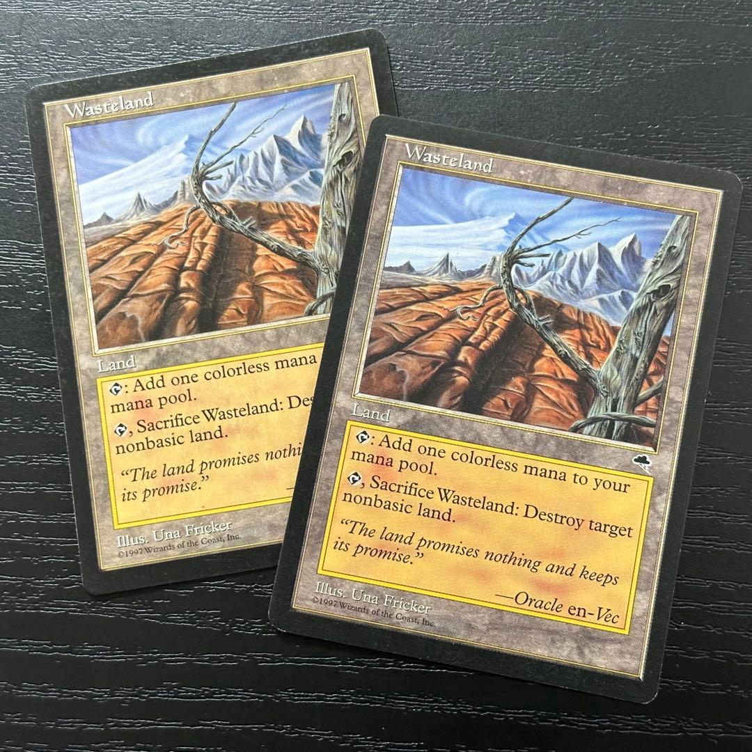 MTG 不毛の大地 英語 初版 2枚