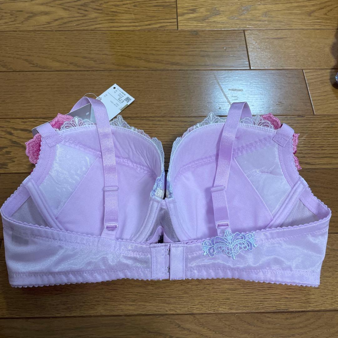 ワコール　サルート93G E75＆Lショーツセット　新品＊未使用