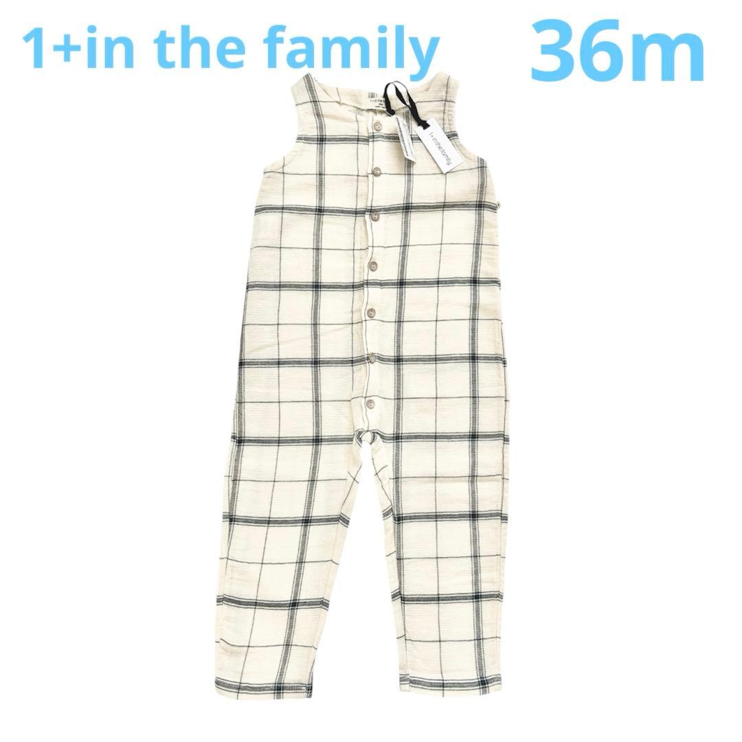 【未使用】1 + in the familyオールインワン