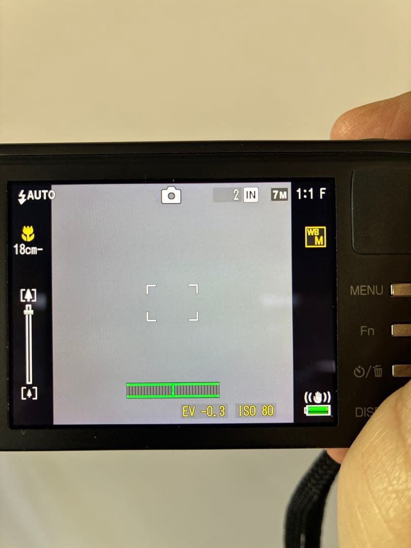 RICOH リコー デジタルカメラ　CX3 ケース付き　充電器　値引き可能‼️