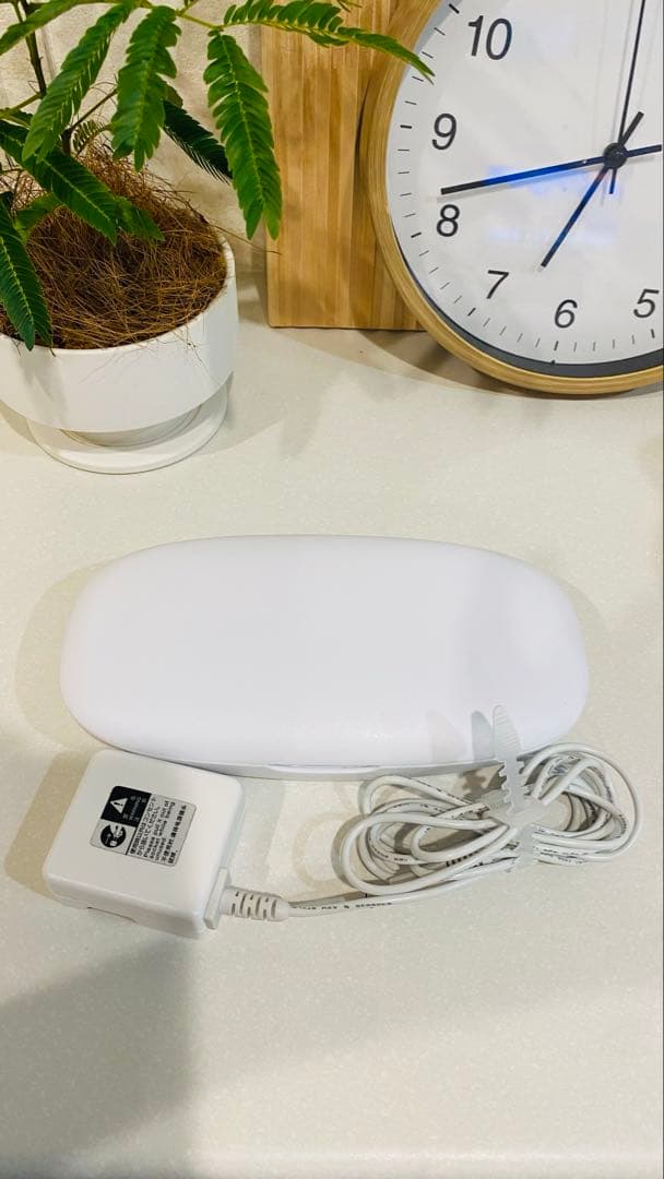 モイスティーヌ美顔器Ⅳ