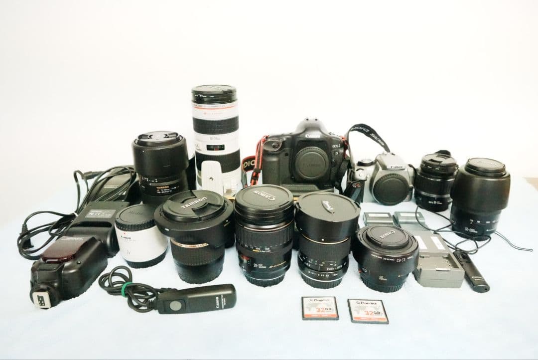 キャノンEOS1DマークIIN・EOSKissデジタルNダブルレンズキット