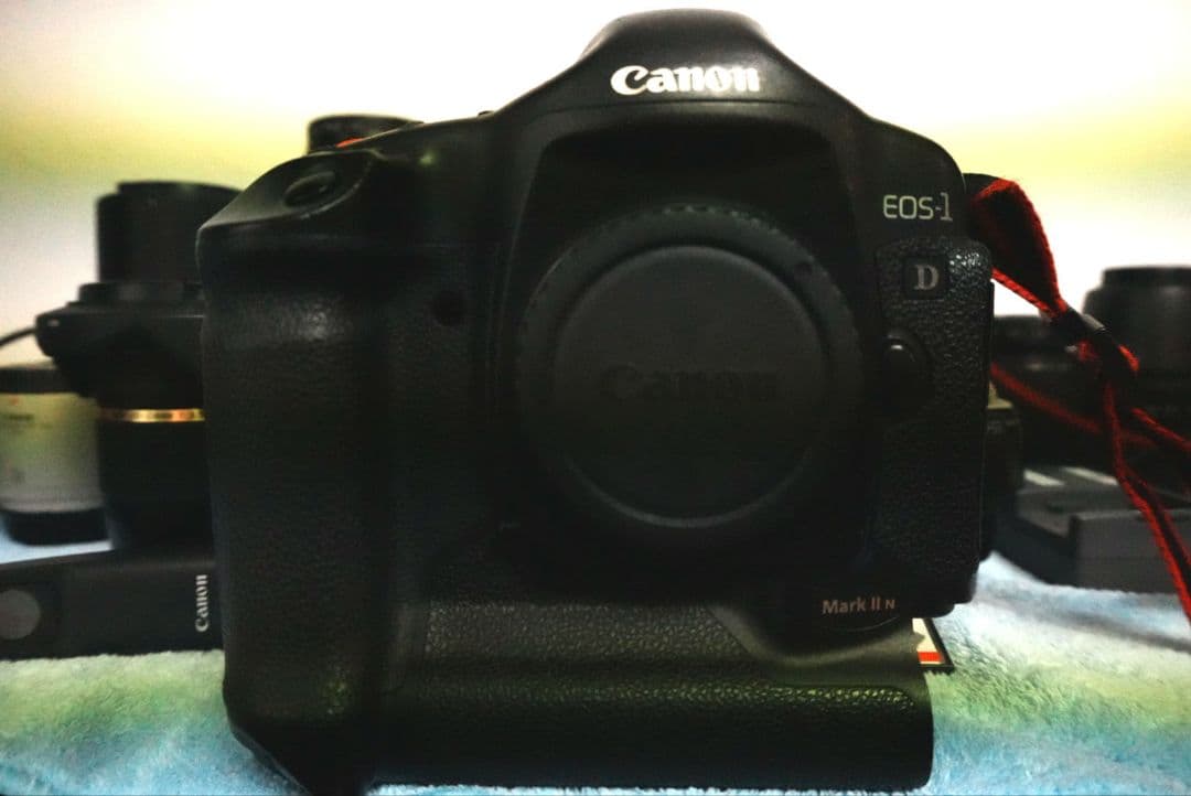 キャノンEOS1DマークIIN・EOSKissデジタルNダブルレンズキット