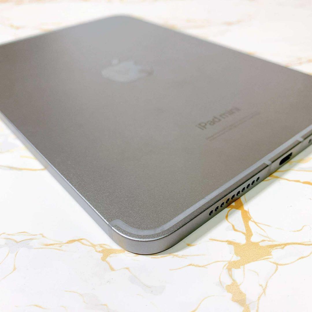 超美品iPad mini A17 Pro セルラー 128GB BT99%