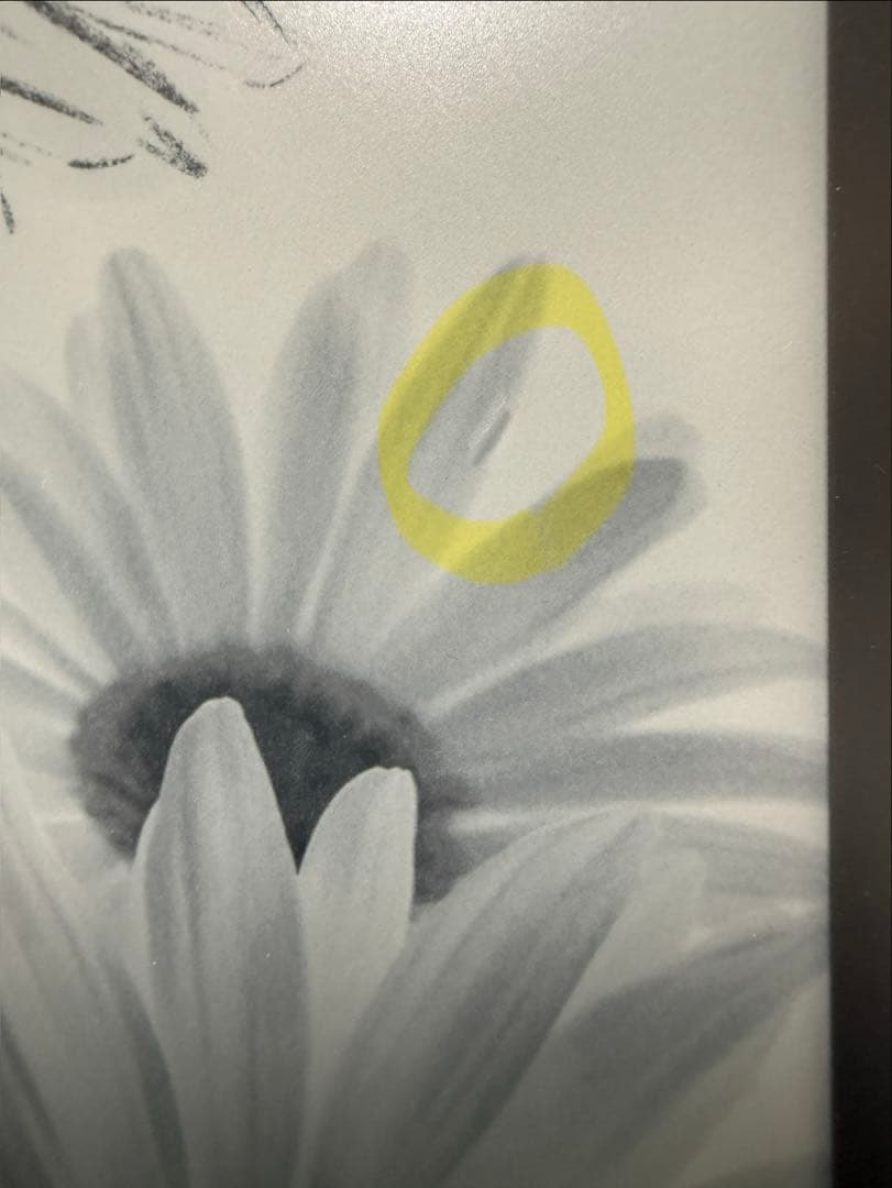 Kindle Scribe 16GB スタンダードペン レザーカバー