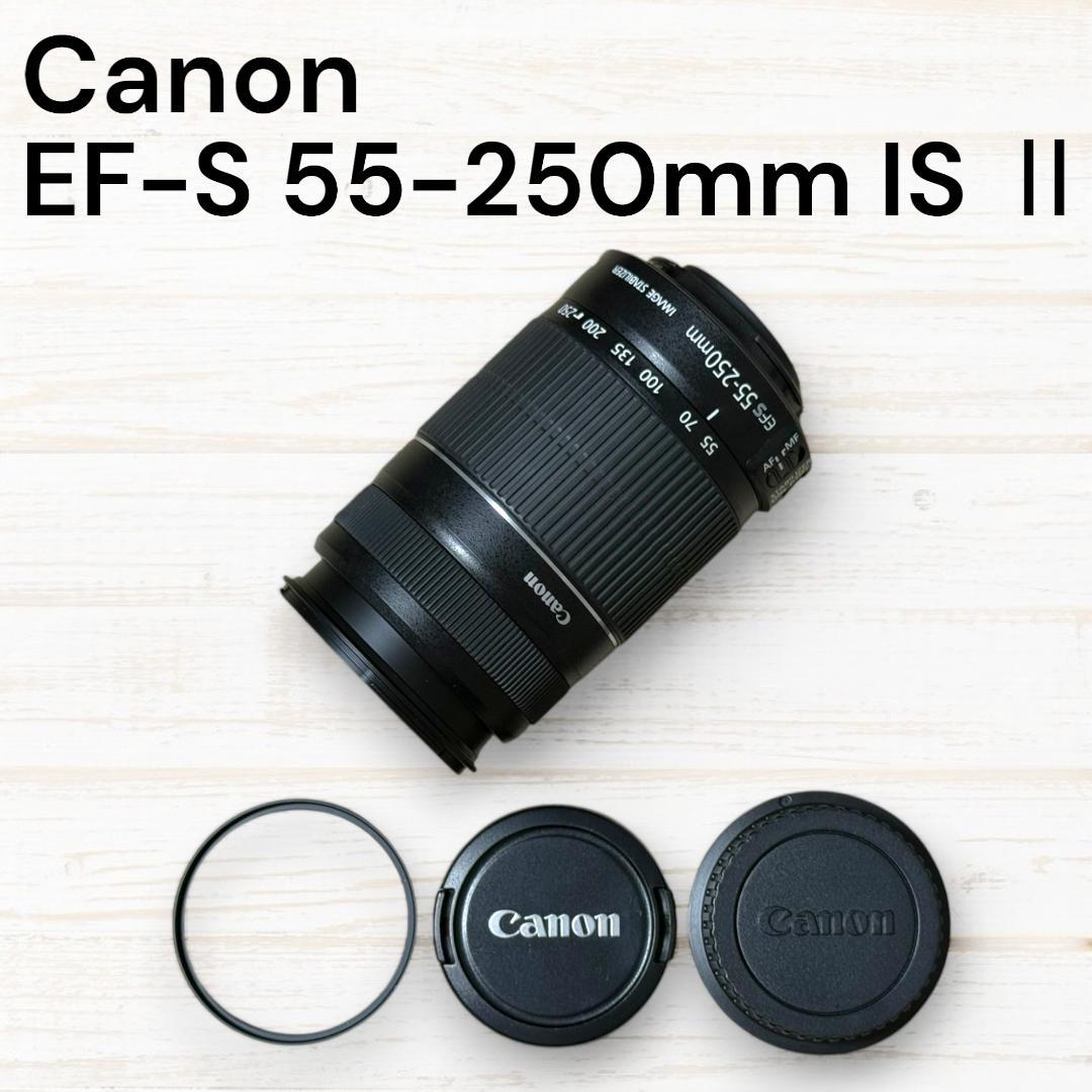 Canon ズームレンズ EF-S 55-250mm IS Ⅱ #93