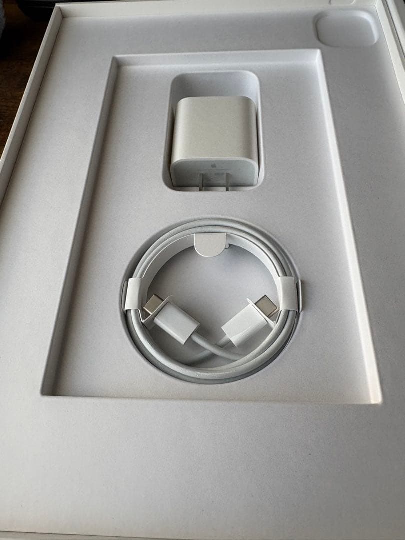 iPad Pro11 第2世代 512GB wifi ApplePencil付き