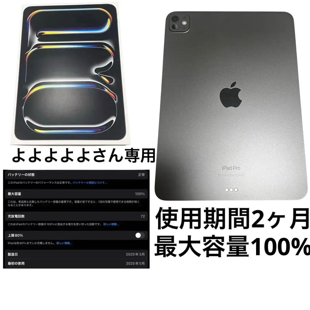 iPad Pro 11インチ M4 256GB WiFiモデル フィルム付き