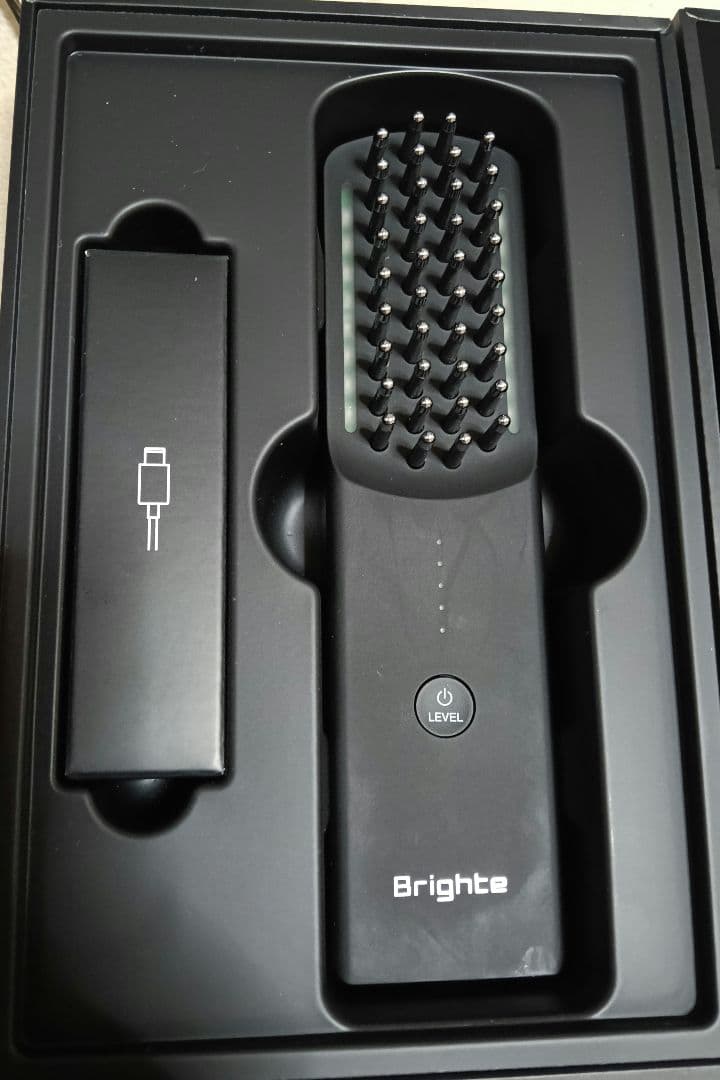 Brighte BRTFS145 BRT-FS145 ブラシ型美顔器