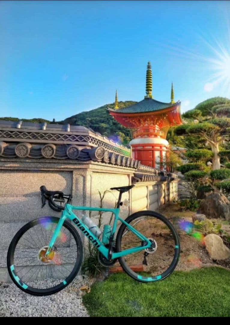 ビアンキ BIANCHI SPRINT DISC ULTEGRA 8000