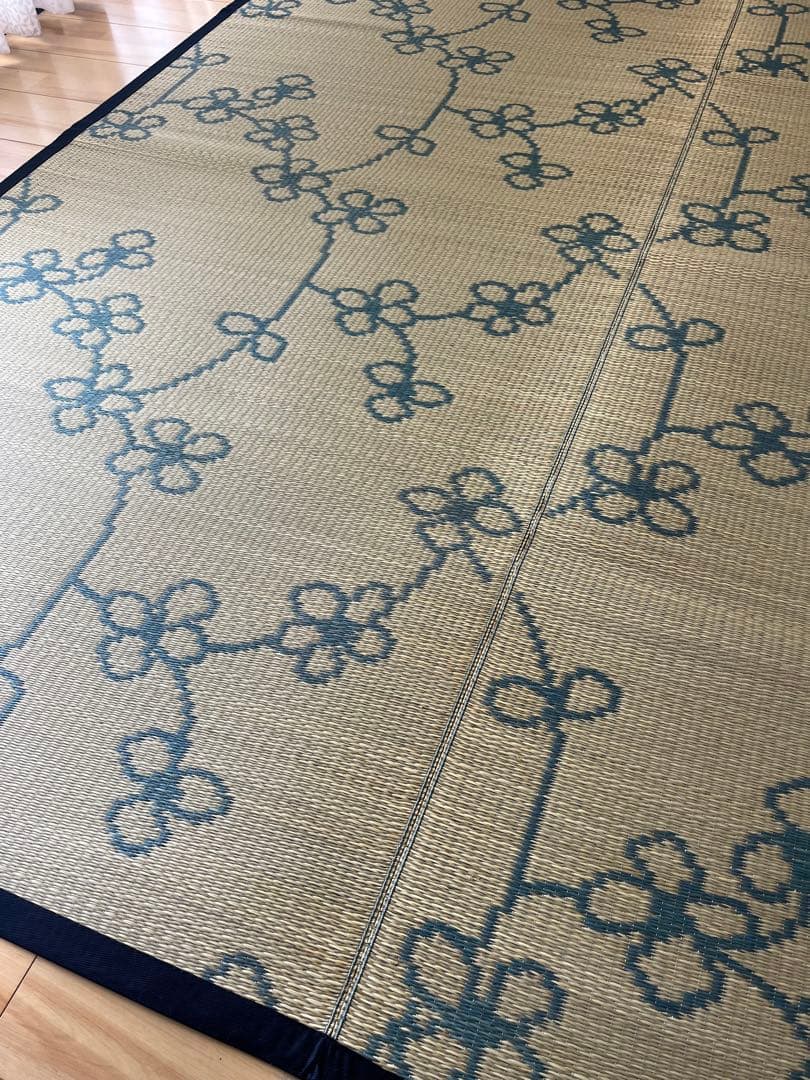 激辛フェイタス 2枚セット　ライン花 ①【訳あり特価品】ブルー ②オレンジ