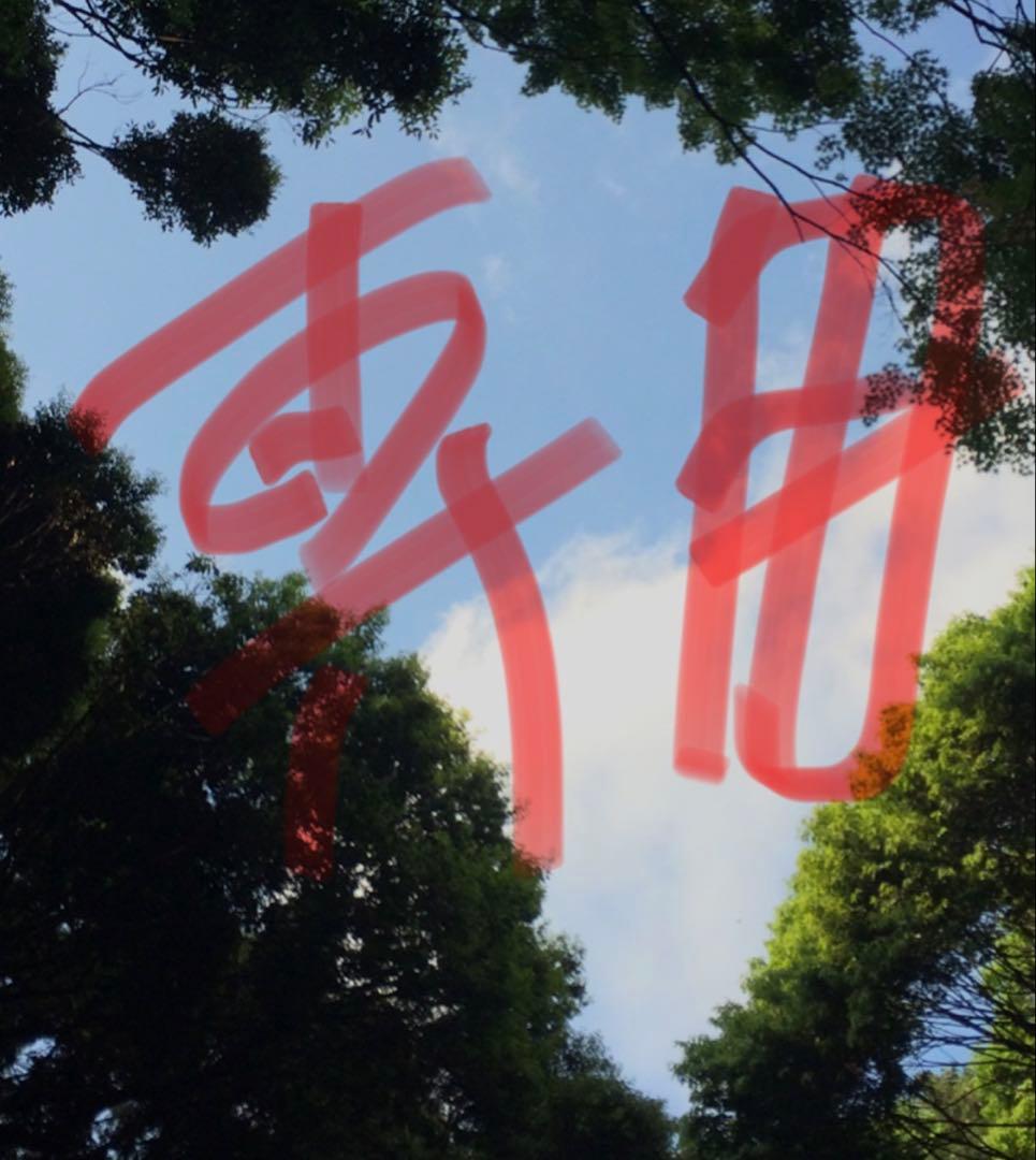 （新品未使用）Logicool C930e Webカメラ