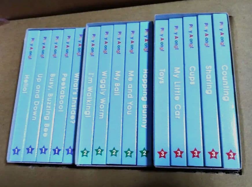 【美品】DWE プレイアロング 絵本15冊＋ガイドブック付き