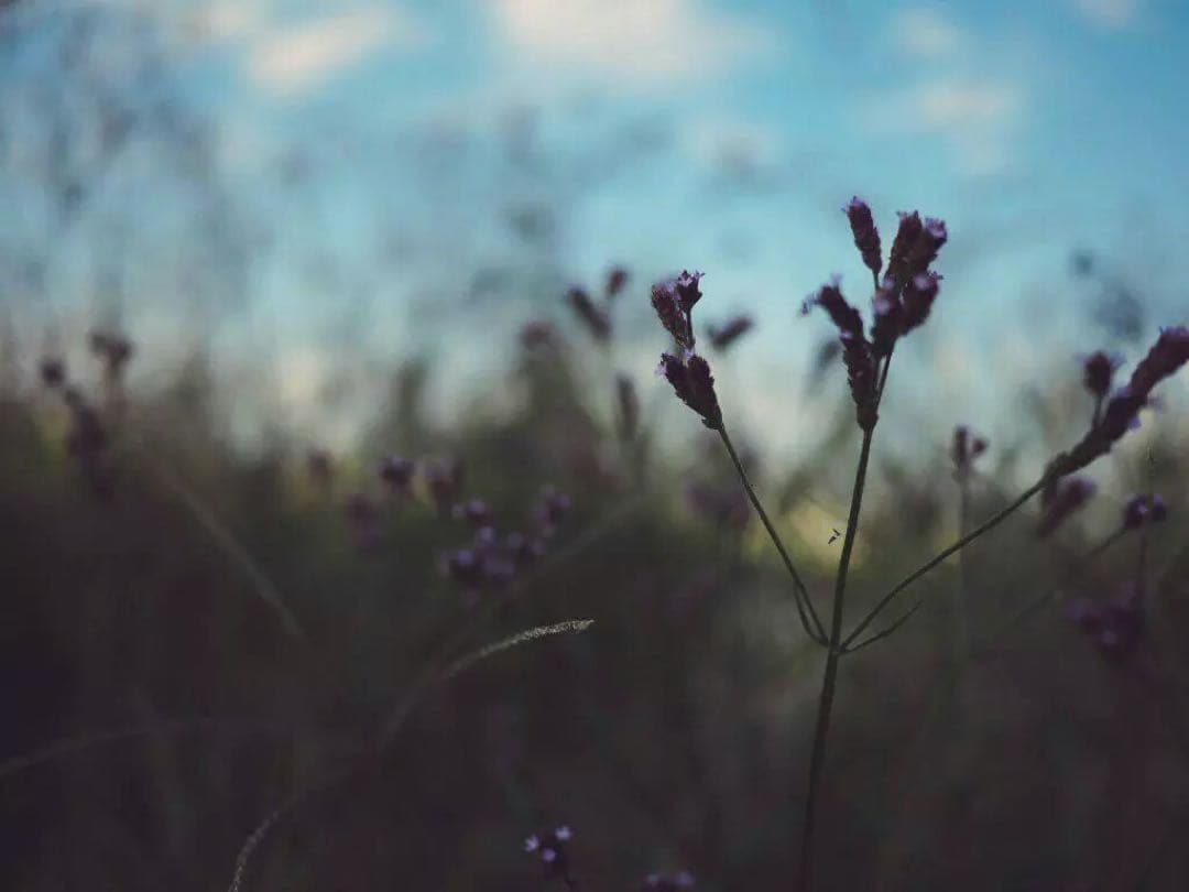 tamaページです୨୧