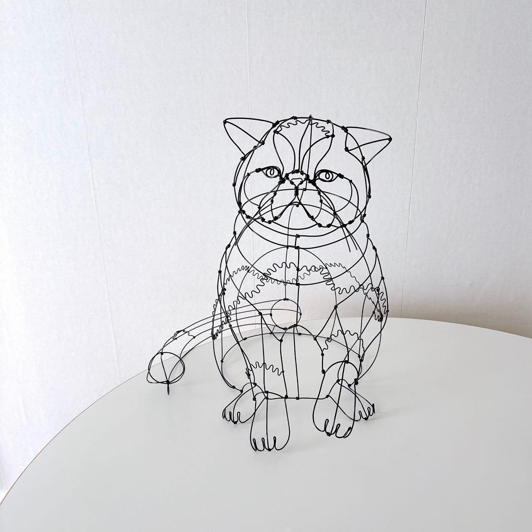 エキゾチックショートヘア　/ ワイヤーアート　ワイヤークラフト