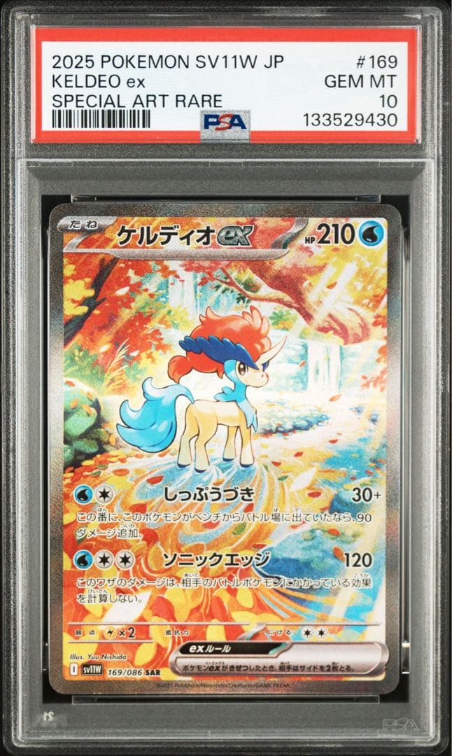 最安値【PSA10】ケルディオ　ex SAR