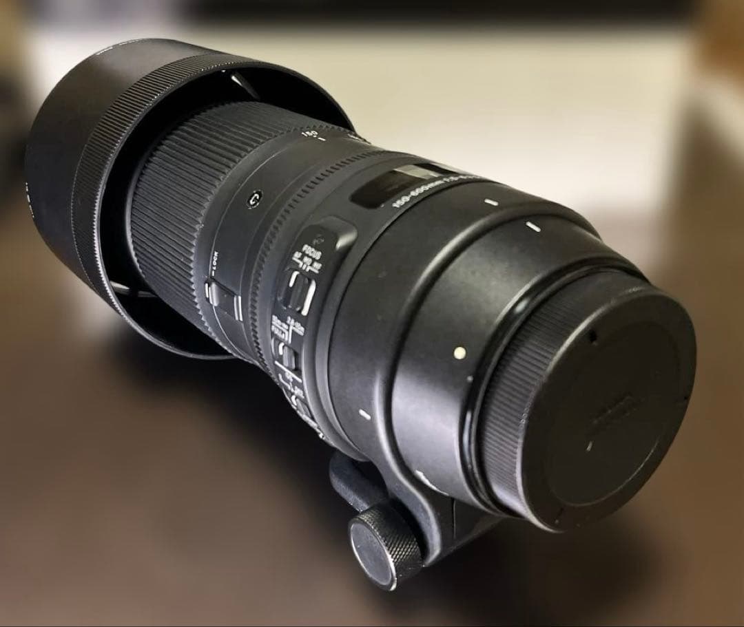と*り様 SIGMA 150-600mm F5-6.3 DG 超望遠レンズ メン