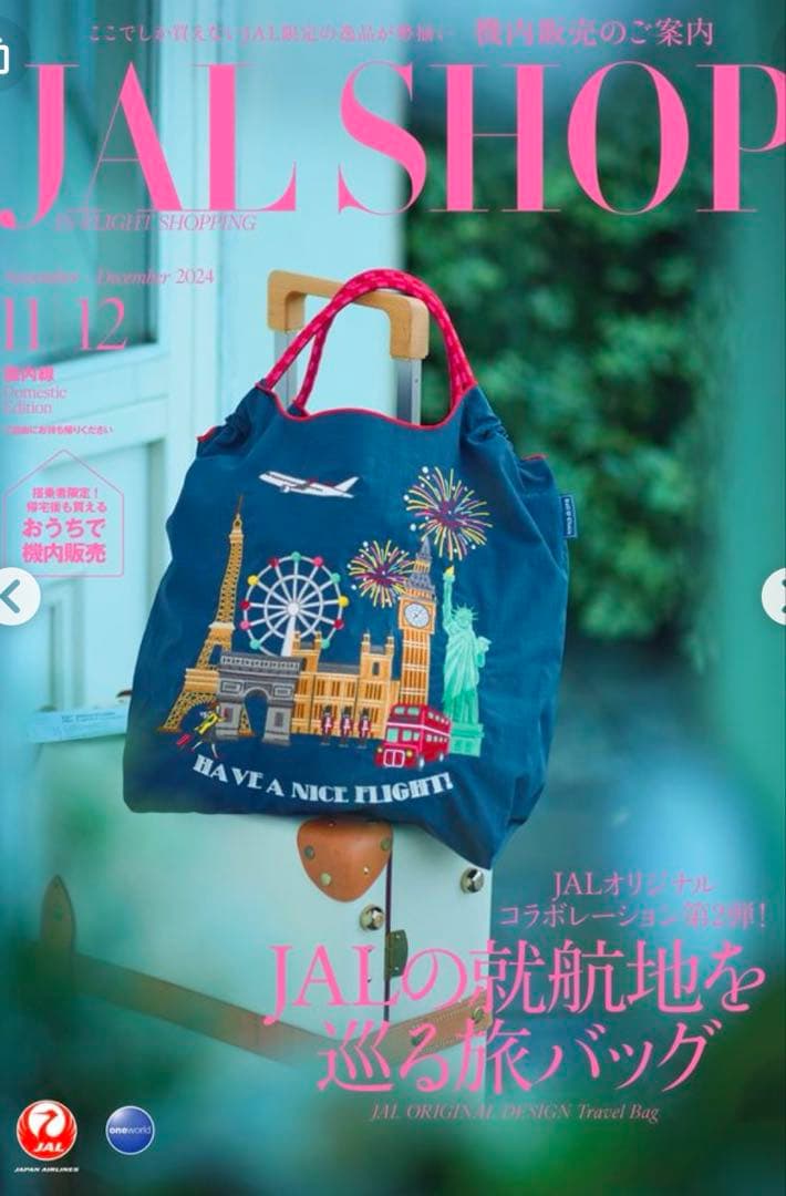 【新品未開封】JAL機内販売品ボールアンドチェーン