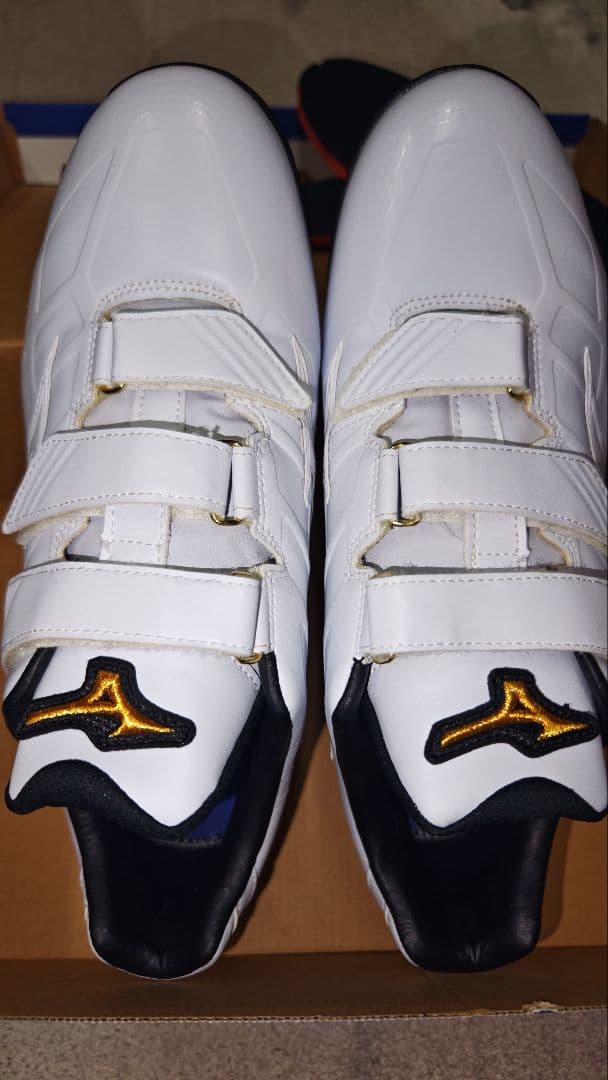 今月限定セール ミズノプロ トレーニングシューズ サイズ28センチ オマケあり