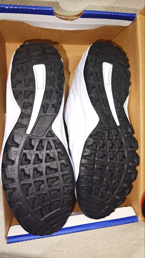 今月限定セール ミズノプロ トレーニングシューズ サイズ28センチ オマケあり