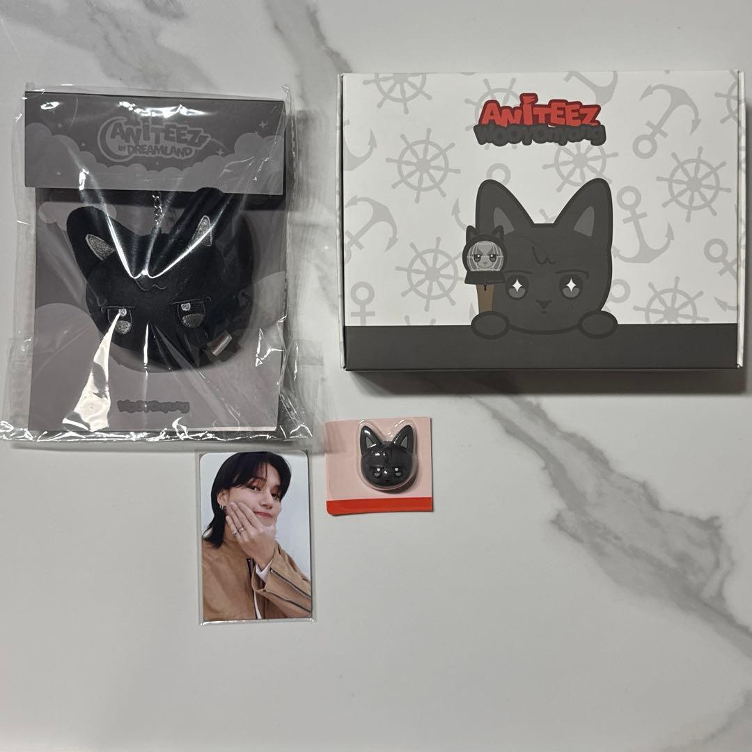 ANITEEZ ウヨニャン