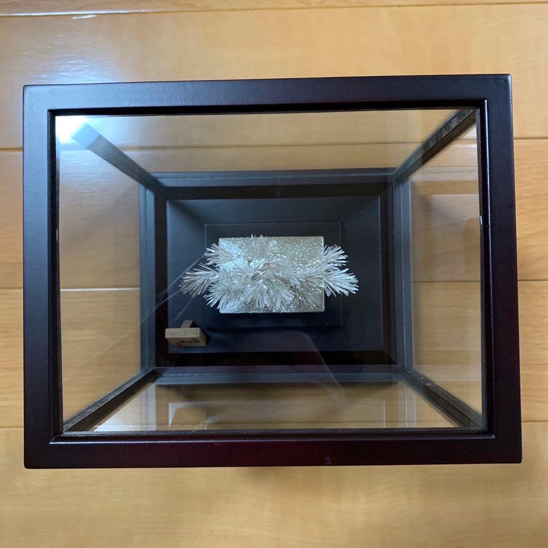 美品 光則 純銀製 大淵武則 盆栽 松 19cm 箱入り